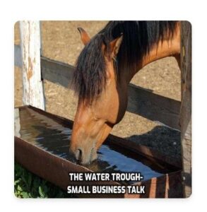 Horse drinking water from a water trough